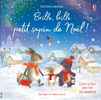 Brille, brille petit sapin de Noël !