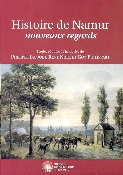 Histoire de Namur : Nouveaux regards