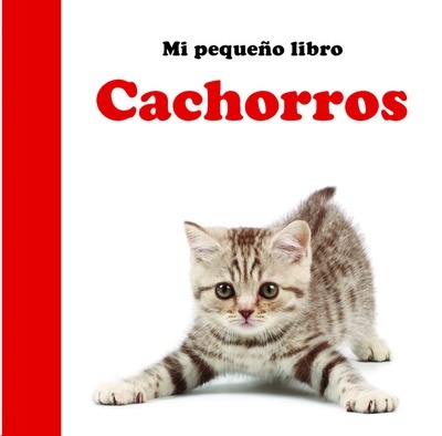 Cachorros