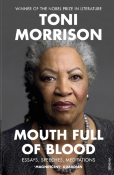 Mouth Full of Blood : Essays, Speeches, Meditations