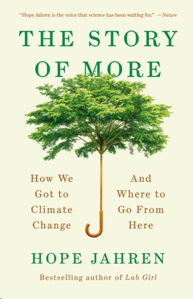The Story of More