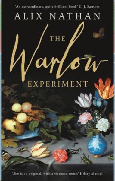 The Warlow Experiment