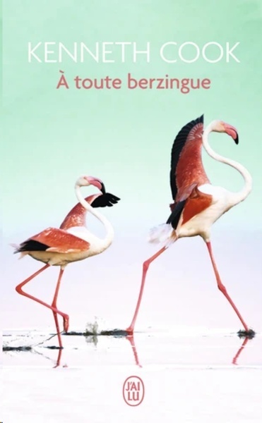 A toute berzingue