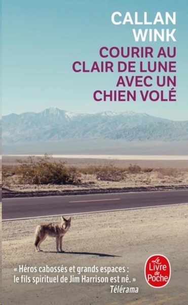 Courir au clair de lune avec un chien volé