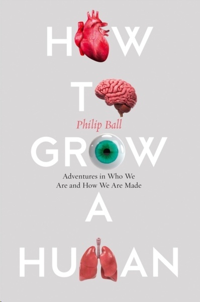 How to Grow a Human : Adventures in Who We are and How We are Made