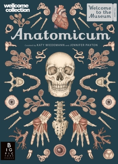 Anatomicum