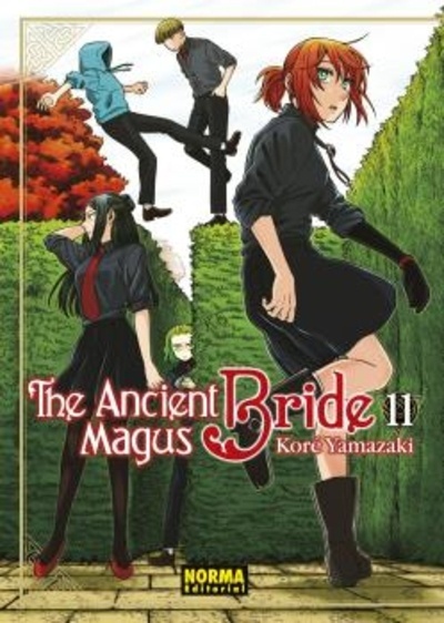 The ancient Magus Bride 11