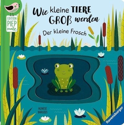 Wie kleine Tiere gross  werden: Der kleine Frosch