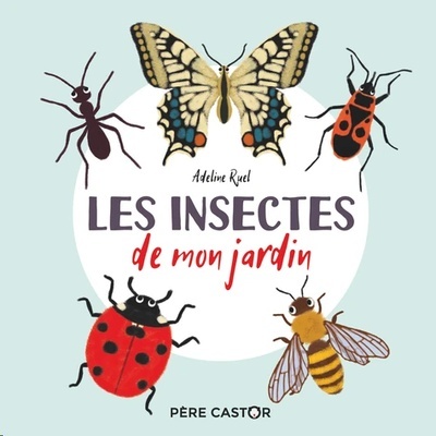 Les Insectes de mon jardin