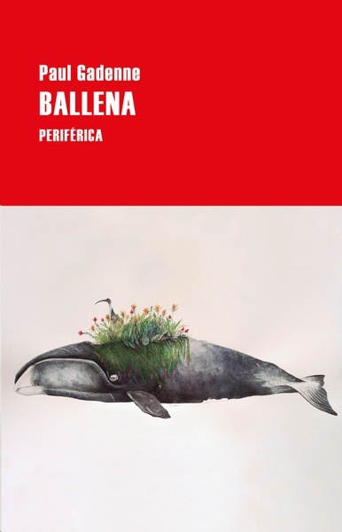 Ballena