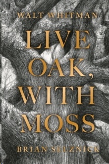 Live Oak, with Moss