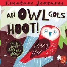 An Owl Goes Hoot!     board book