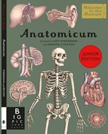 Anatomicum Junior