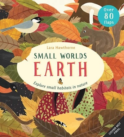 Small Worlds: Earth