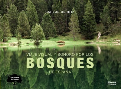 Viaje visual y sonoro por los bosques de España