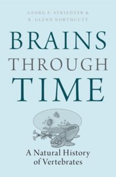 Brains through time