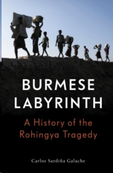 The Burmese Labyrinth