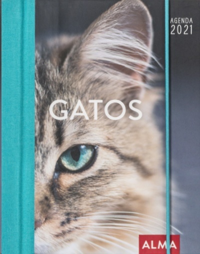 Agenda 2021 Gatos