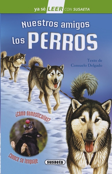 Nuestros amigos los perros