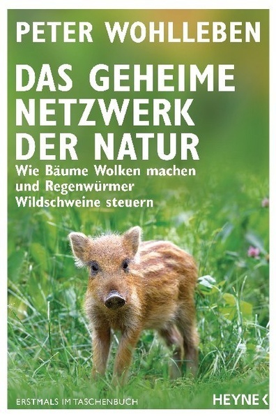 Das geheime Netzwerk der Natur.