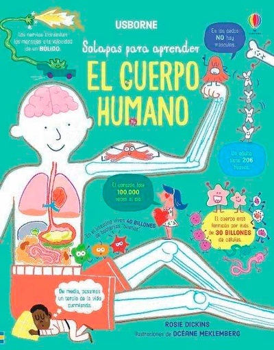 El cuerpo humano