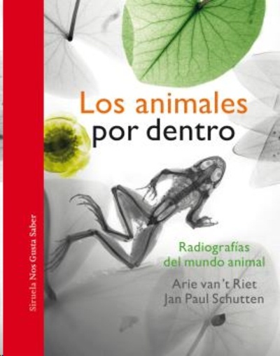 Los animales por dentro