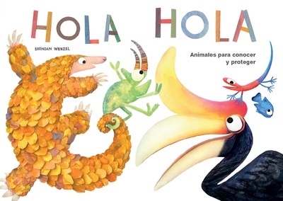 Hola hola