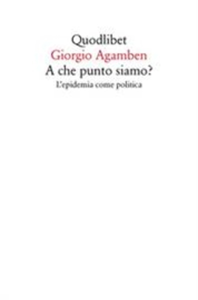 A che punto siamo? L'epidemia come politica