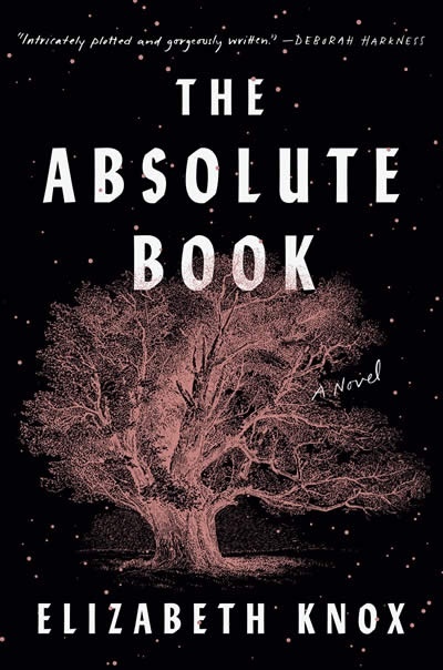 The Absolute Book, A Novel