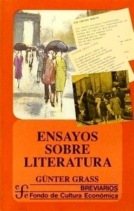 Ensayos sobre literatura