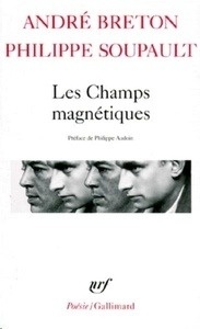 Les champs magnétiques