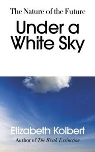 Under a White Sky