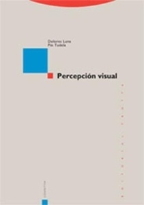 Percepción visual