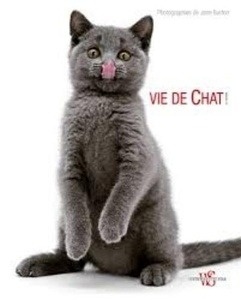 Vie de chat !