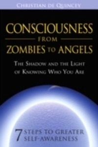 Consciousness from Zombies to Angels : The Shadow and the Light of Knowing Who You are