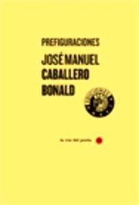 Prefiguraciones