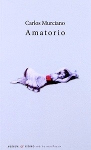 Amatorio