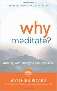 Why Meditate? x{0026} CD