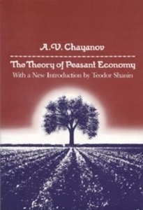 Theory of Peasant Economy