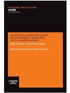 Oficinas de representación de las regiones y municipios ante la Unión Europea, Las