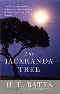 The Jacaranda Tree