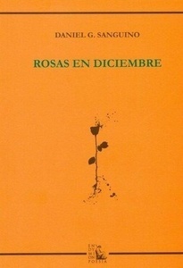 Rosas en diciembre