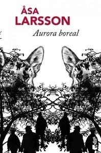 Aurora boreal