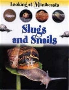 Slugs and Snails
