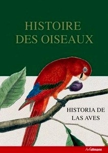 Historia de las aves