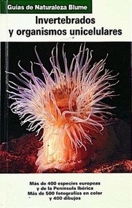 Invertebrados y organismos unicelulares