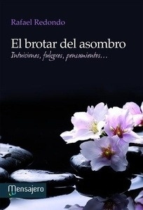 El brotar del asombro