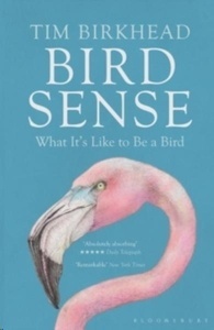 Bird Sense: What It's Like to Be a Bird