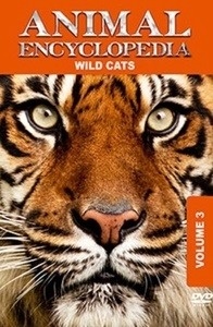 Wild Cats