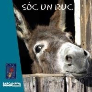 Sóc un ruc